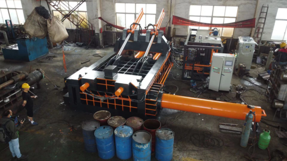 Y81T-800