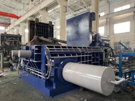 DCM800